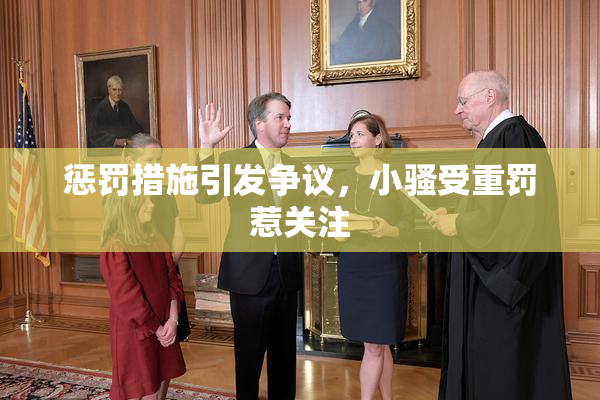 惩罚措施引发争议，小骚受重罚惹关注