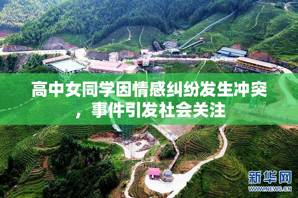 高中女同学因情感纠纷发生冲突，事件引发社会关注