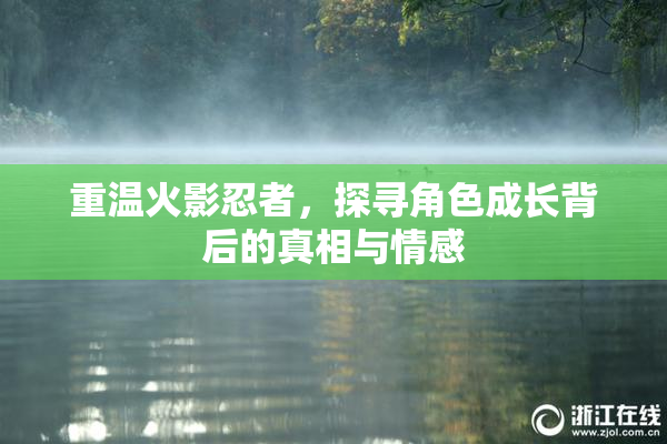 重温火影忍者，探寻角色成长背后的真相与情感