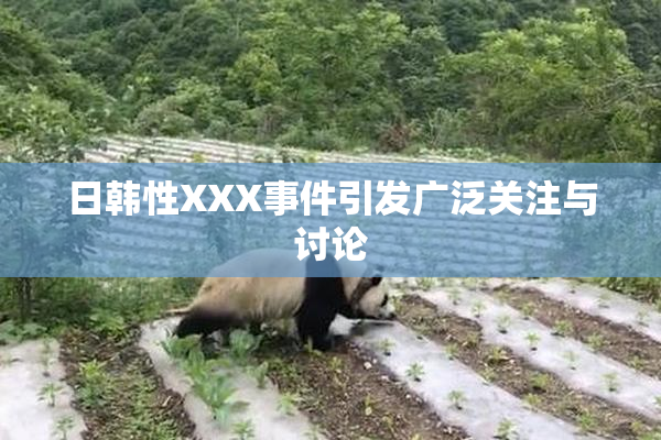 日韩性XXX事件引发广泛关注与讨论