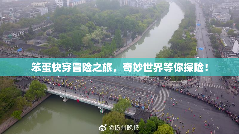 笨蛋快穿冒险之旅，奇妙世界等你探险！