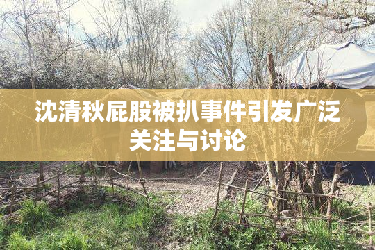 沈清秋屁股被扒事件引发广泛关注与讨论
