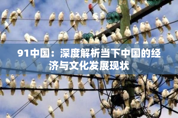 91中国：深度解析当下中国的经济与文化发展现状