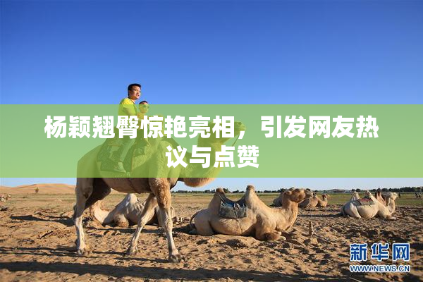 杨颖翘臀惊艳亮相，引发网友热议与点赞