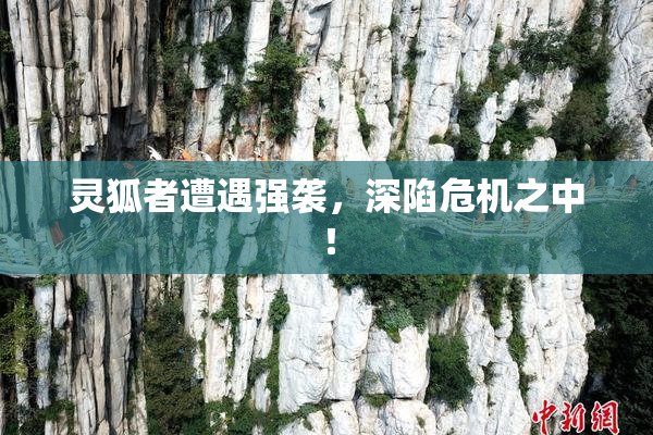 灵狐者遭遇强袭，深陷危机之中！