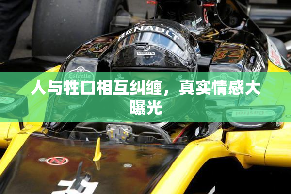 人与牲口相互纠缠，真实情感大曝光
