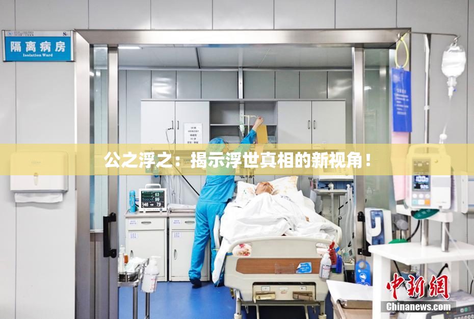 公之浮之：揭示浮世真相的新视角！