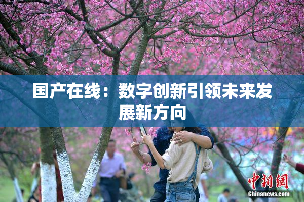 国产在线：数字创新引领未来发展新方向