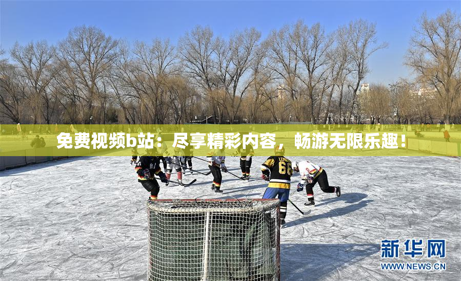 免费视频b站：尽享精彩内容，畅游无限乐趣！