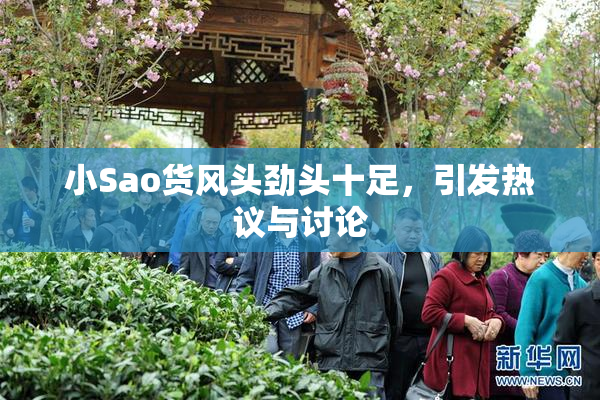 小Sao货风头劲头十足，引发热议与讨论