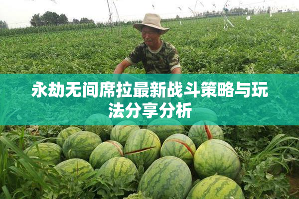 永劫无间席拉最新战斗策略与玩法分享分析