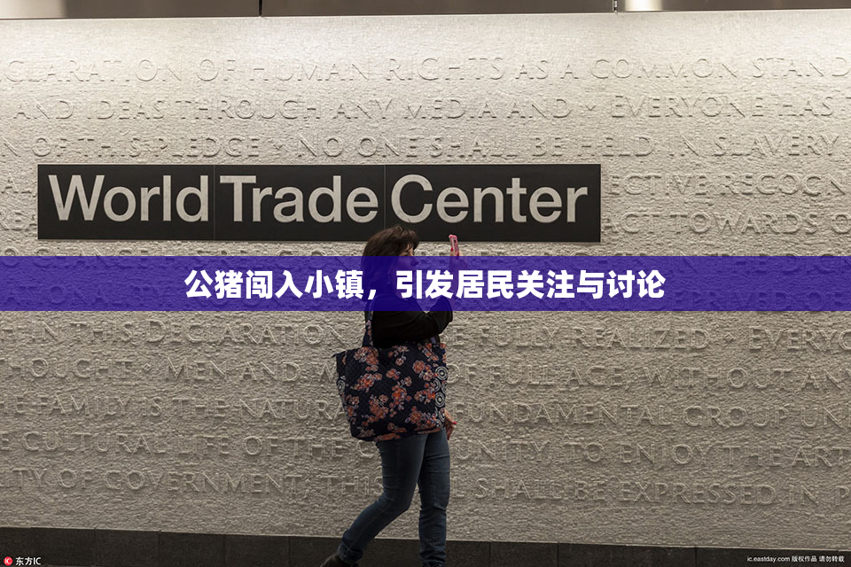 公猪闯入小镇，引发居民关注与讨论