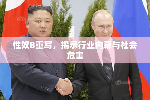 性奴B重写，揭示行业内幕与社会危害