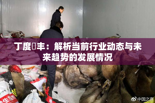 丁度巜丰：解析当前行业动态与未来趋势的发展情况