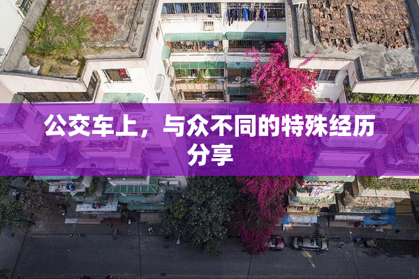 公交车上，与众不同的特殊经历分享
