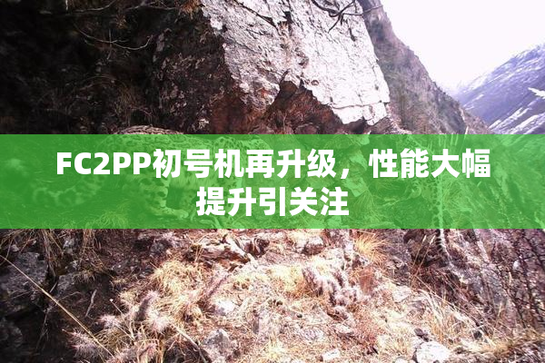 FC2PP初号机再升级，性能大幅提升引关注