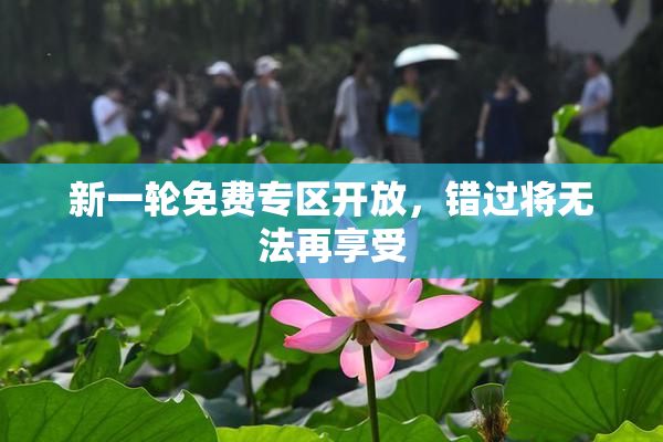 新一轮免费专区开放，错过将无法再享受