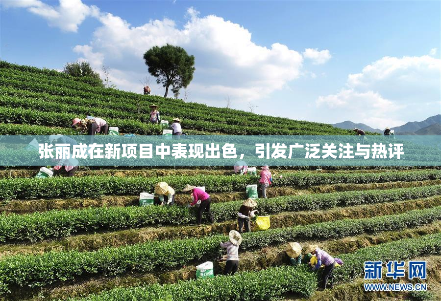 张丽成在新项目中表现出色，引发广泛关注与热评