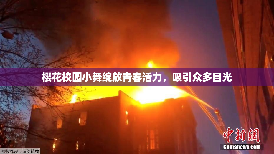 樱花校园小舞绽放青春活力，吸引众多目光