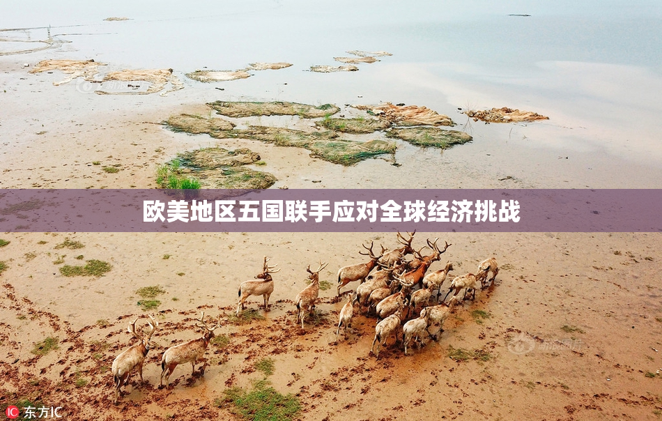 欧美地区五国联手应对全球经济挑战
