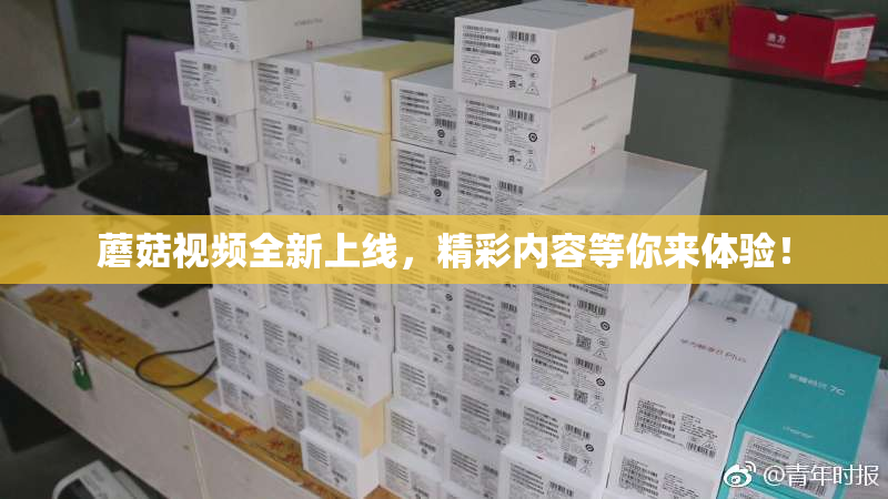 蘑菇视频全新上线，精彩内容等你来体验！