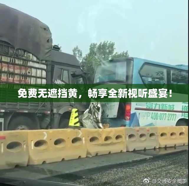 免费无遮挡黄，畅享全新视听盛宴！