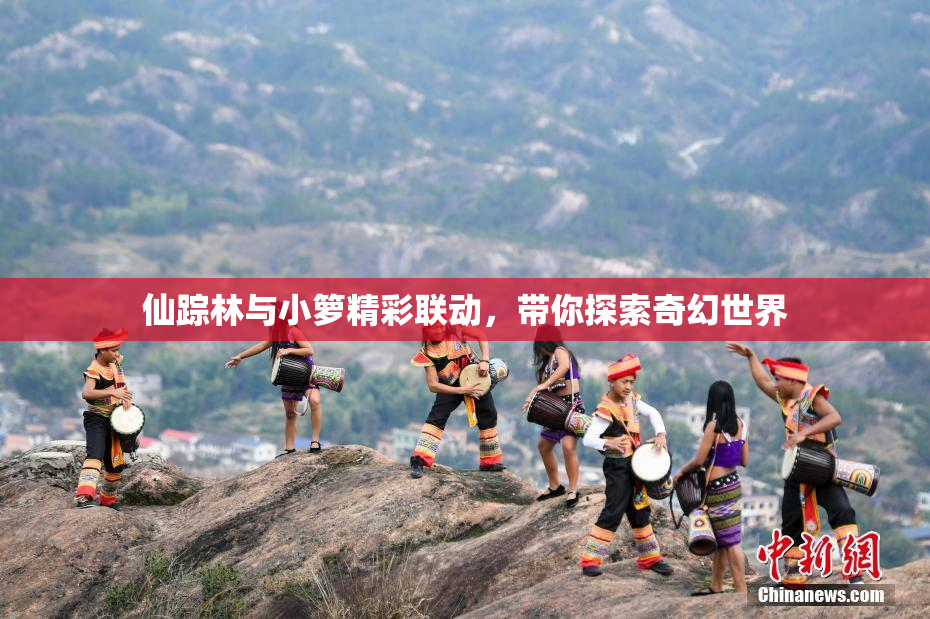 仙踪林与小箩精彩联动，带你探索奇幻世界