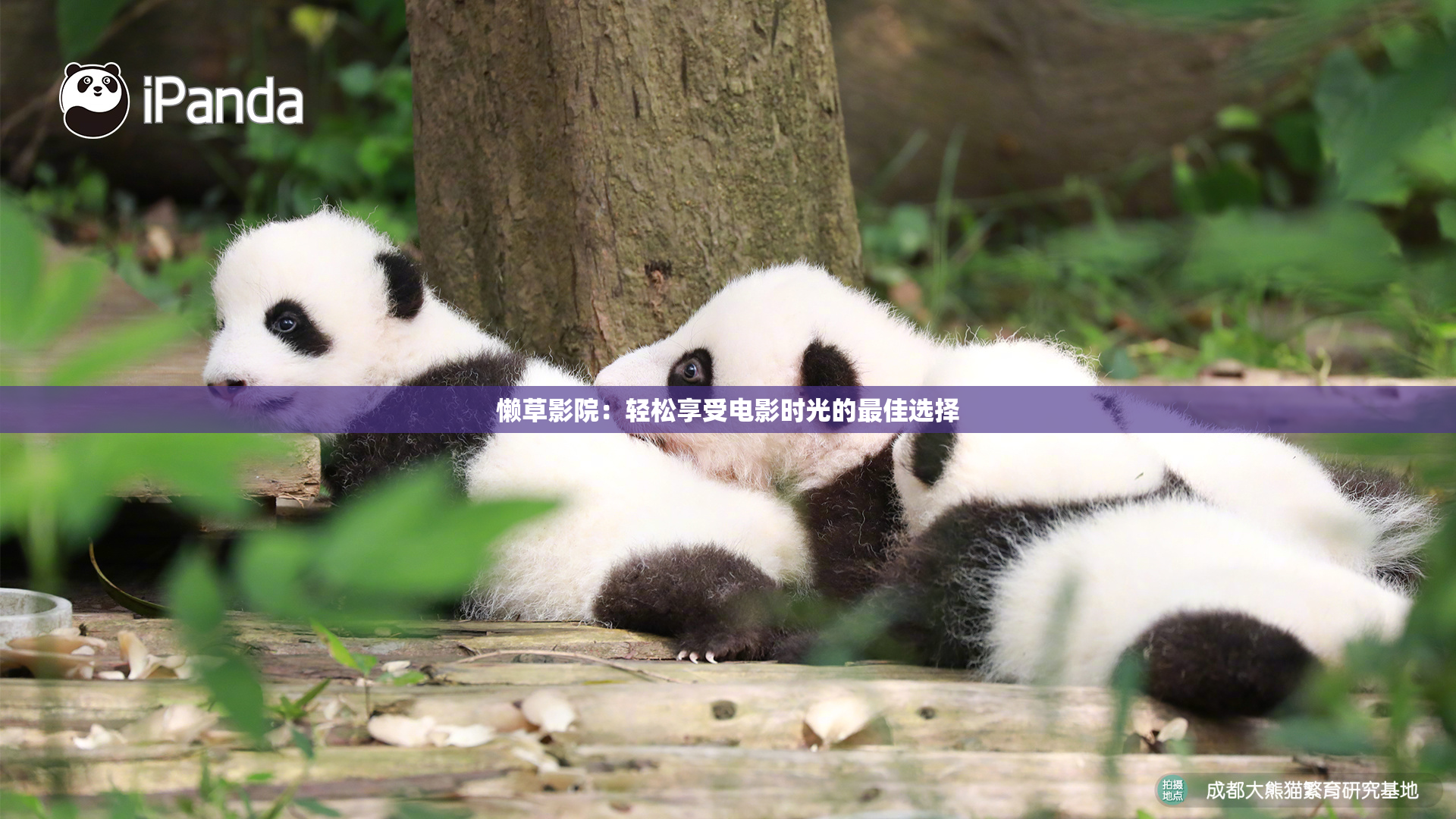 懒草影院：轻松享受电影时光的最佳选择