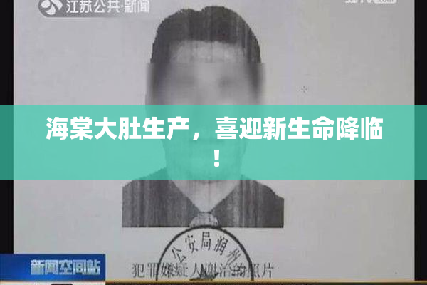 海棠大肚生产，喜迎新生命降临！