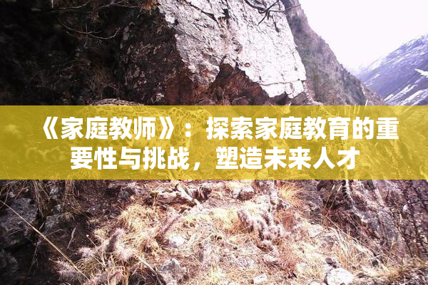 《家庭教师》：探索家庭教育的重要性与挑战，塑造未来人才