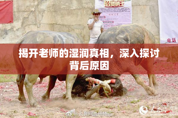 揭开老师的湿润真相，深入探讨背后原因