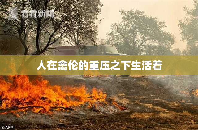 人在禽伦的重压之下生活着