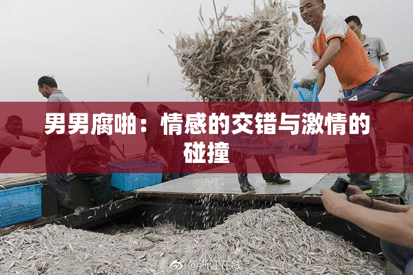 男男腐啪：情感的交错与激情的碰撞