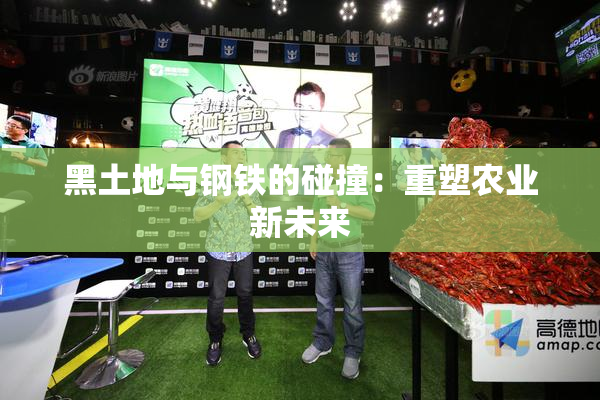 黑土地与钢铁的碰撞：重塑农业新未来