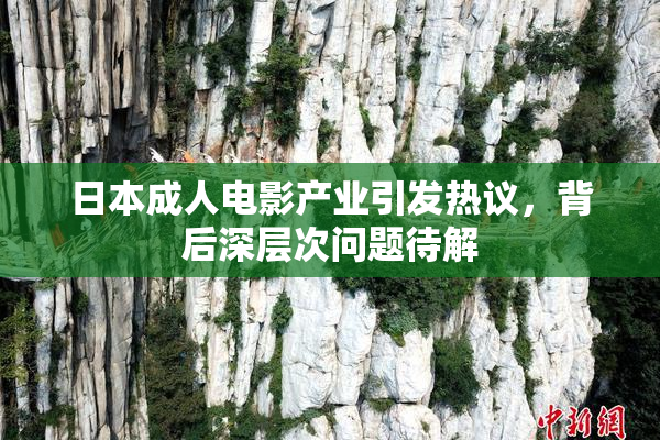 日本成人电影产业引发热议，背后深层次问题待解