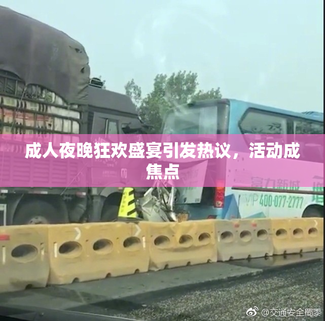 成人夜晚狂欢盛宴引发热议，活动成焦点