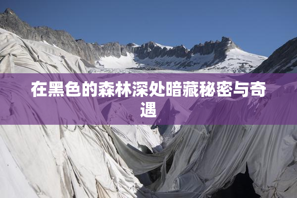 在黑色的森林深处暗藏秘密与奇遇
