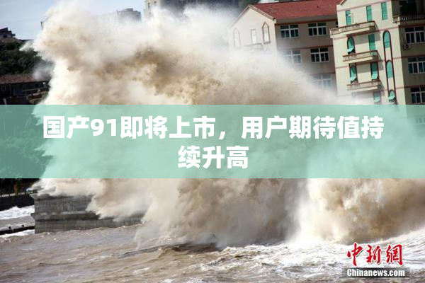 国产91即将上市，用户期待值持续升高