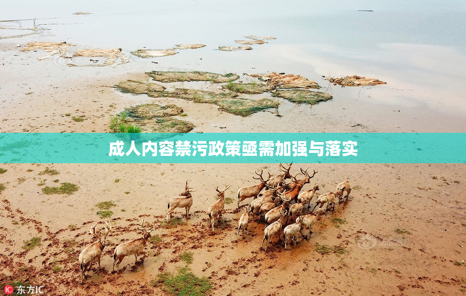 成人内容禁污政策亟需加强与落实