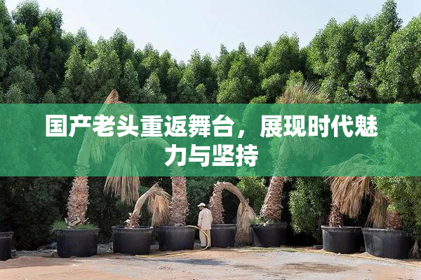 国产老头重返舞台，展现时代魅力与坚持