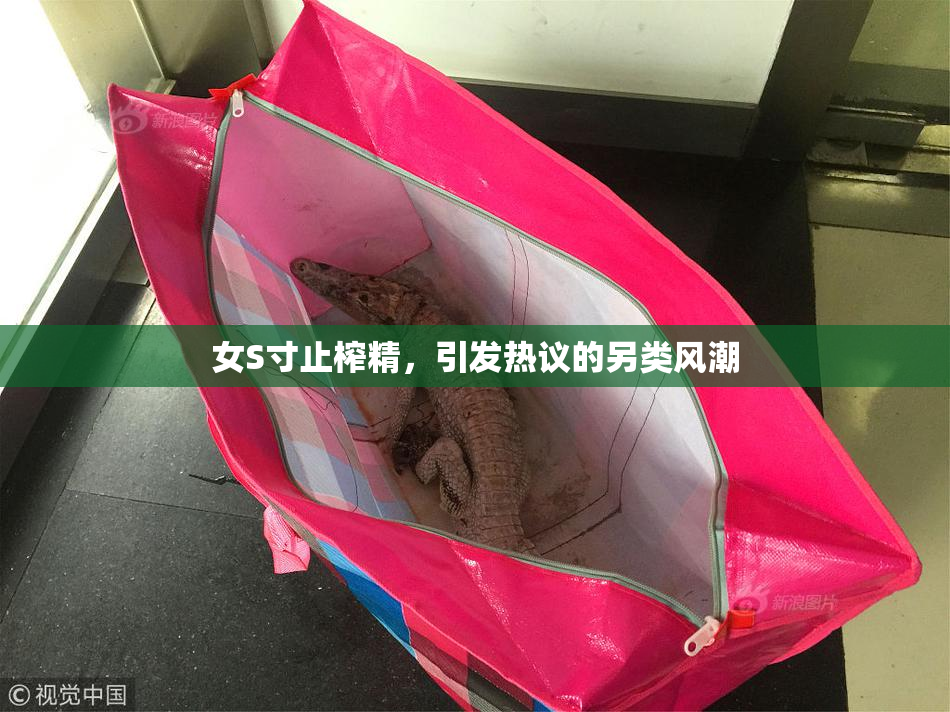 女S寸止榨精，引发热议的另类风潮