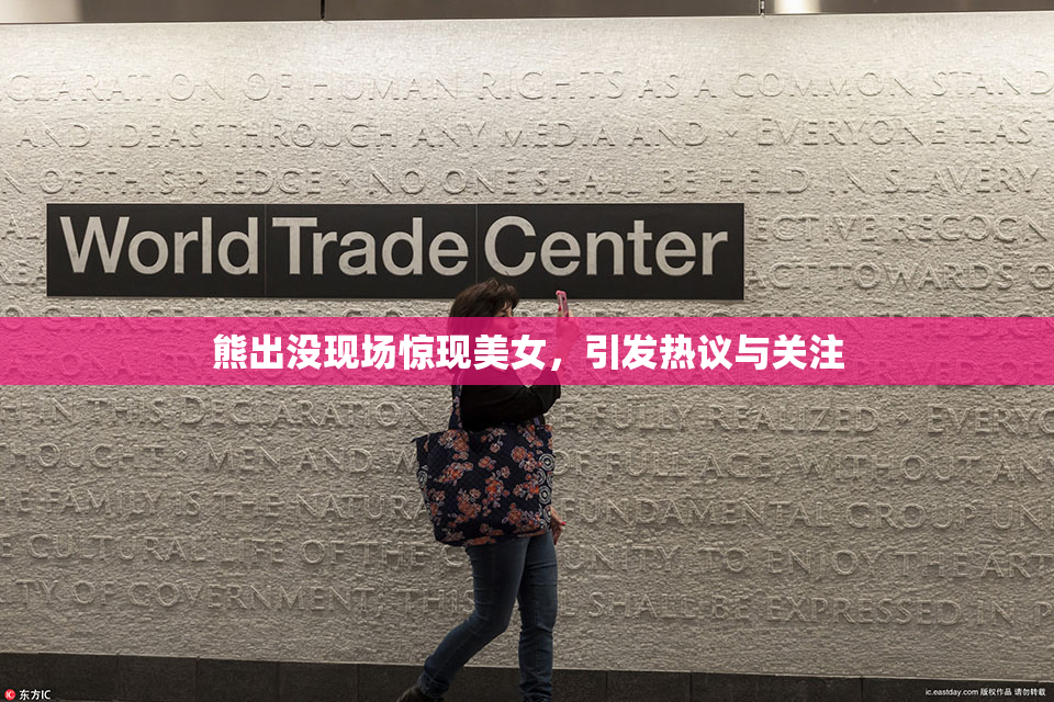 熊出没现场惊现美女，引发热议与关注