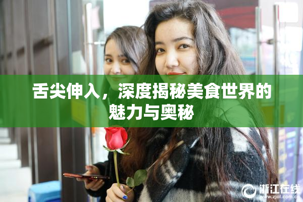 舌尖伸入，深度揭秘美食世界的魅力与奥秘