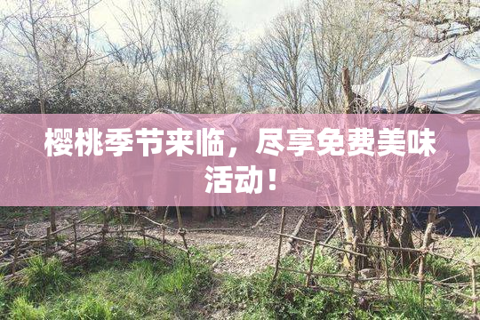 樱桃季节来临，尽享免费美味活动！