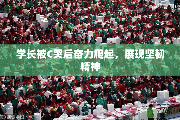 学长被C哭后奋力爬起，展现坚韧精神