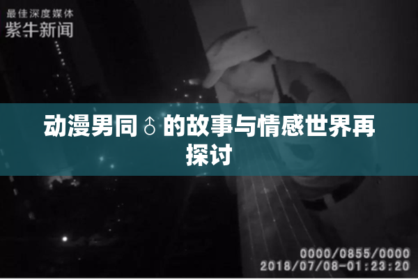 动漫男同♂的故事与情感世界再探讨