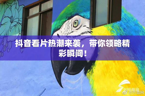 抖音看片热潮来袭，带你领略精彩瞬间！