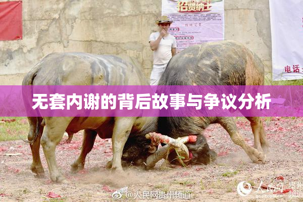 无套内谢的背后故事与争议分析