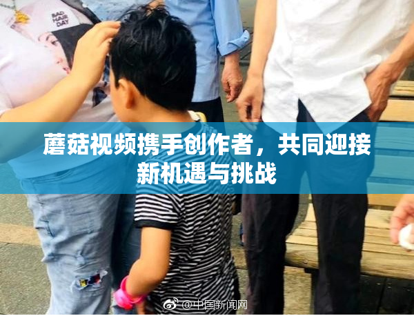 蘑菇视频携手创作者，共同迎接新机遇与挑战