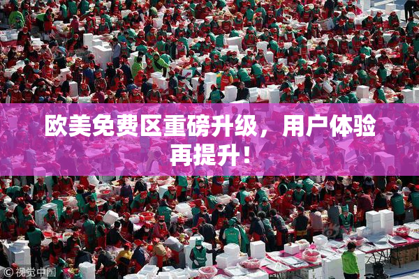 欧美免费区重磅升级，用户体验再提升！